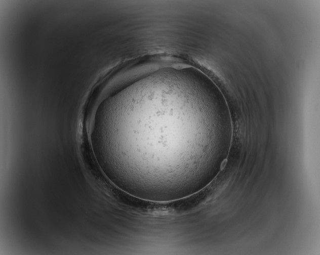 X0000088650587200705251503