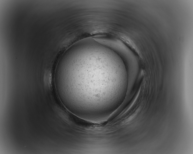X0000088650589200705251503