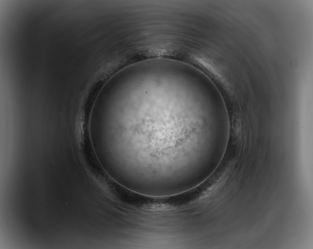 X0000088650590200705251503