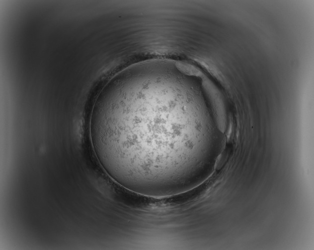 X0000088650591200705251503