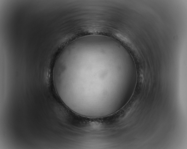 X0000088650592200705251503