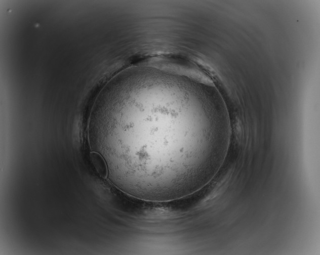 X0000088650594200705251503