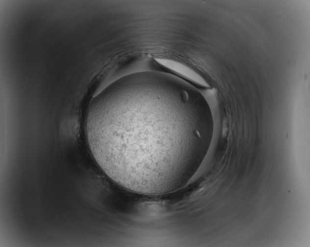 X0000088650595200705251503