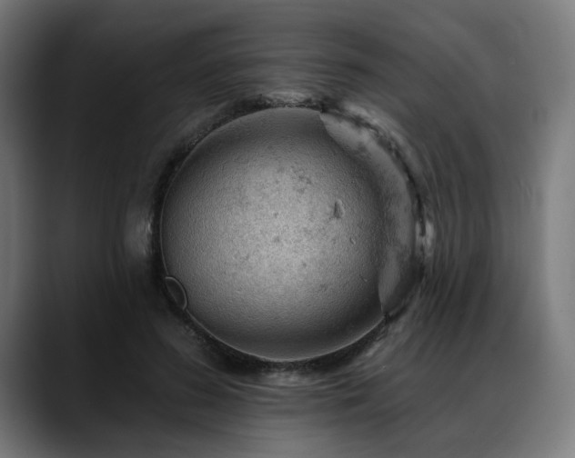 X0000088650596200705251503