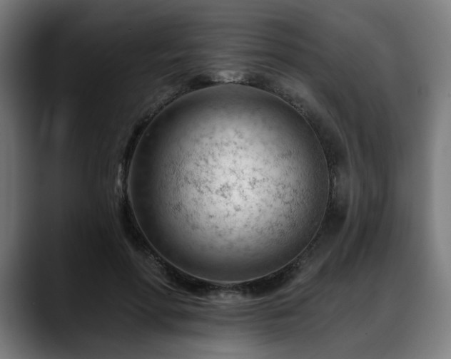 X0000088650598200705251503