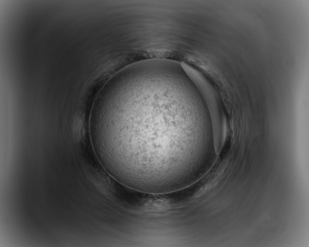X0000088650599200705251503