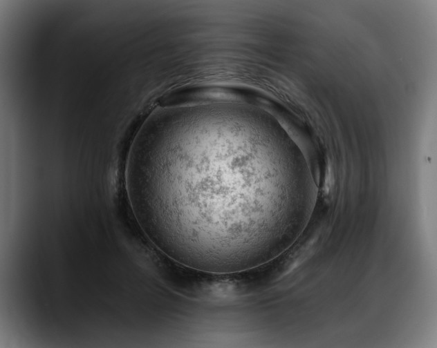 X0000088650600200705251503