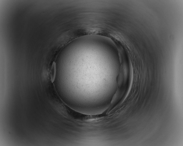 X0000088650601200705251503