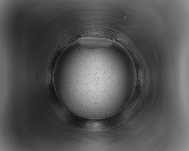 X0000088650602200705251503