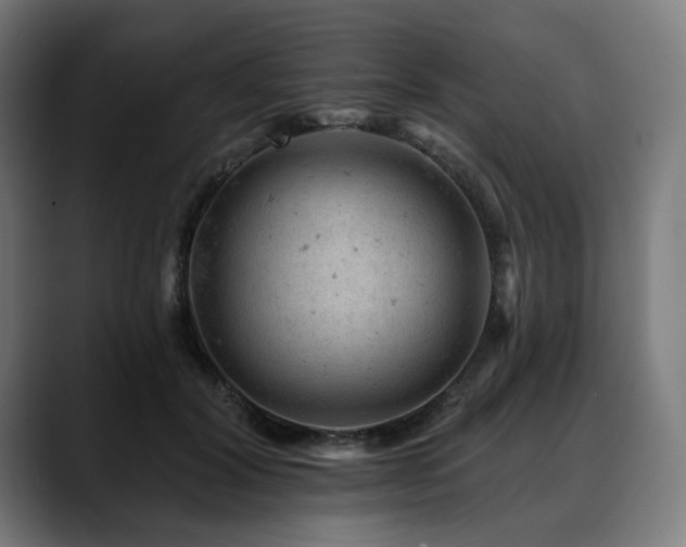 X0000088650604200705251503