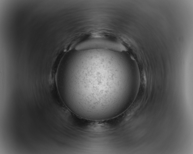 X0000088650607200705251503