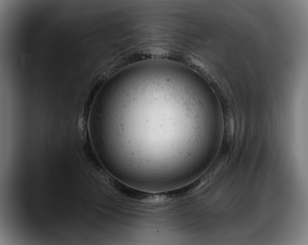 X0000088650609200705251503