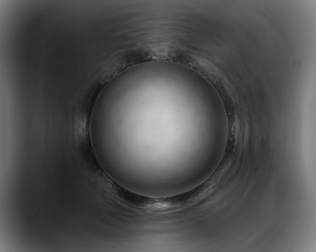 X0000088650610200705251503