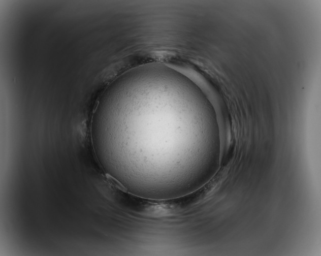X0000088650611200705251503
