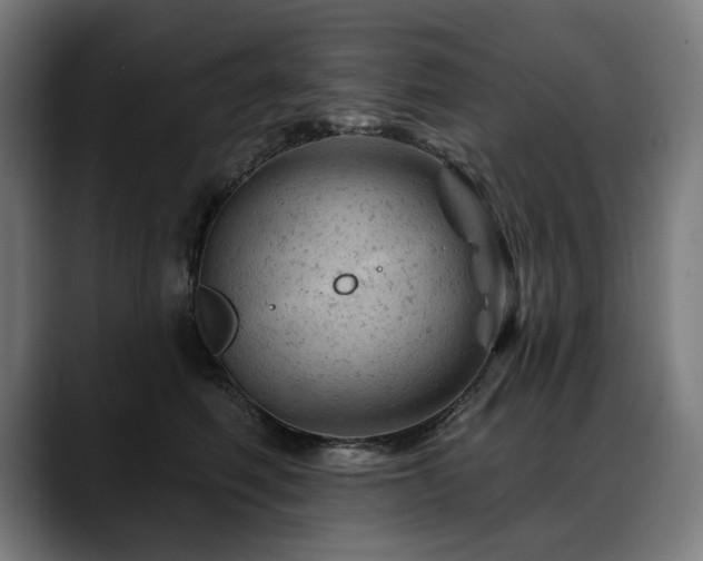 X0000088650614200705251503