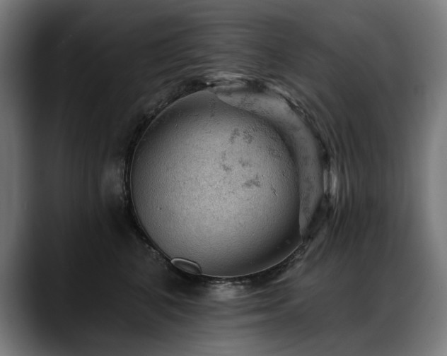 X0000088650616200705251503