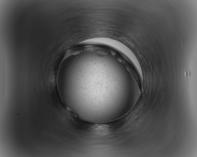 X0000088650617200705251503