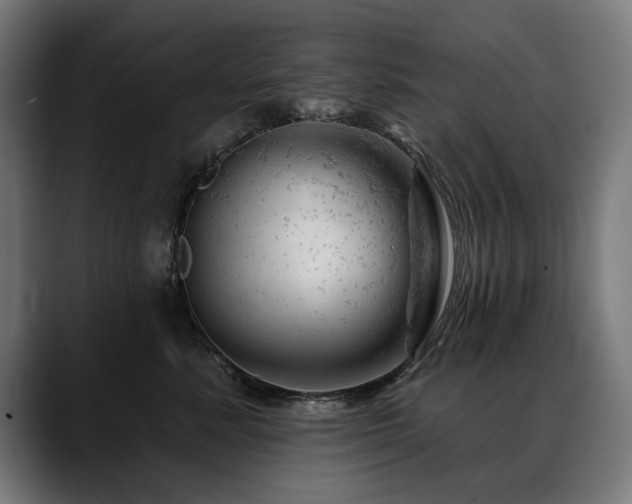 X0000088650619200705251503