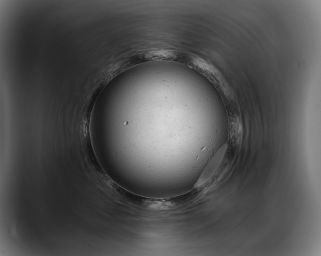 X0000088650621200705251503