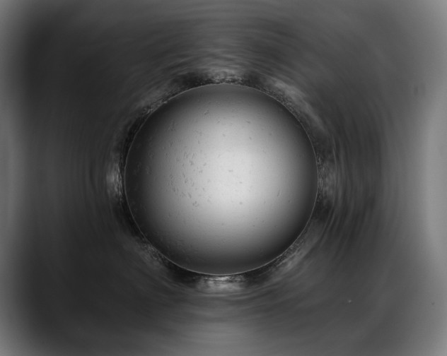 X0000088650622200705251503