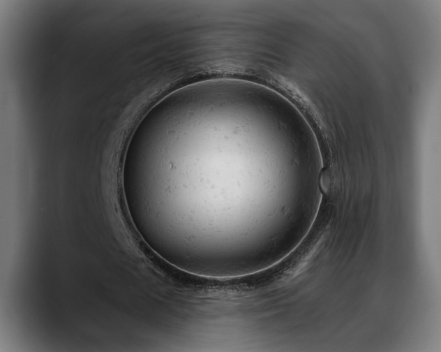 X0000088650625200705251502