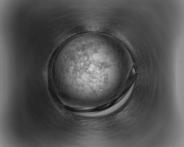 X0000088650626200705251502