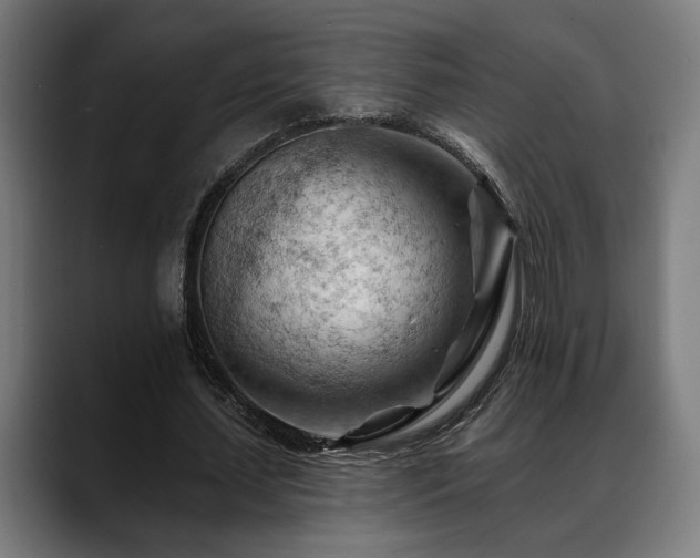 X0000088650627200705251502