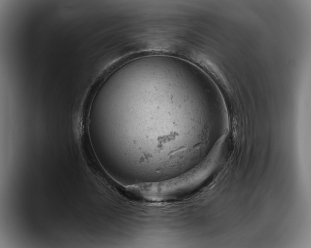 X0000088650628200705251502