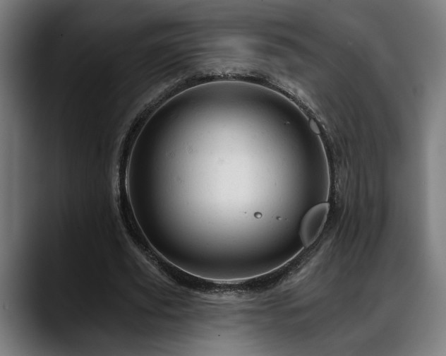 X0000088650629200705251502