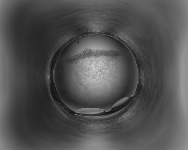 X0000088650630200705251502