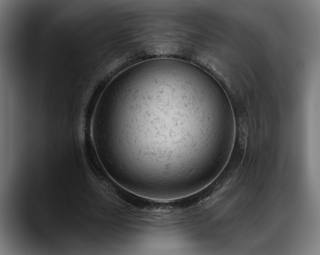 X0000088650631200705251502