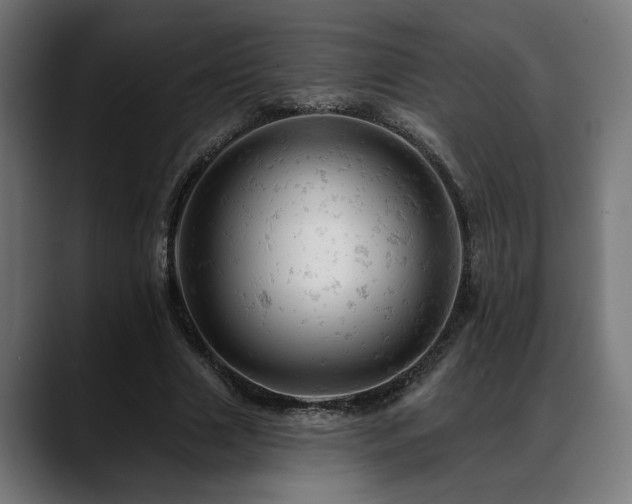 X0000088650633200705251502