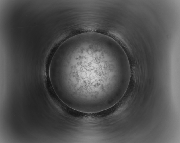 X0000088650634200705251502