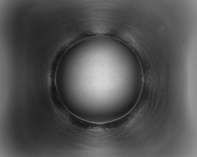 X0000088650635200705251502