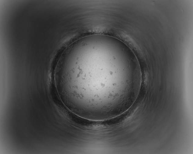 X0000088650636200705251502