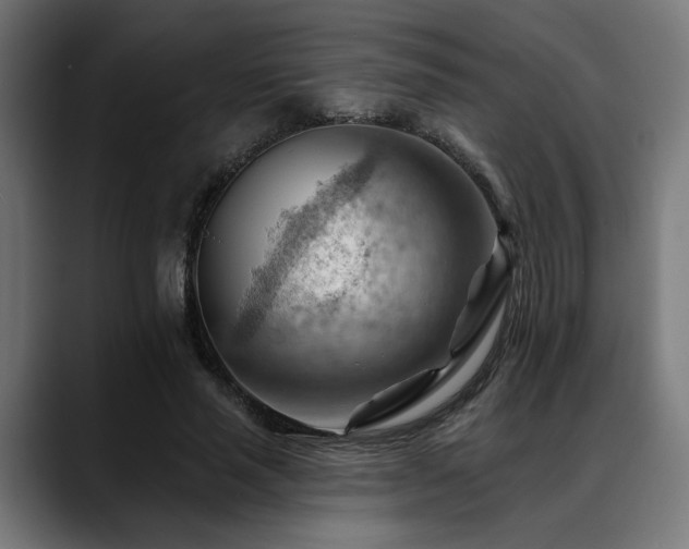 X0000088650637200705251502