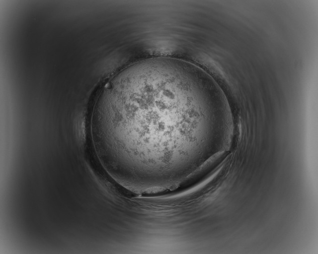 X0000088650638200705251502