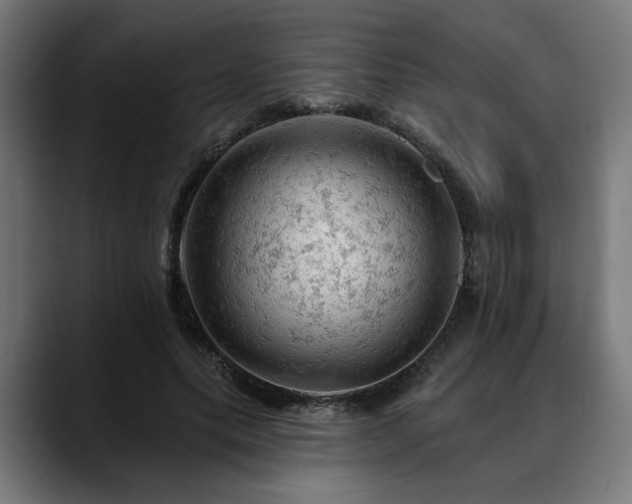 X0000088650639200705251502