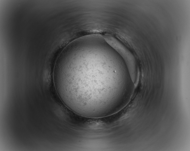 X0000088650642200705251502