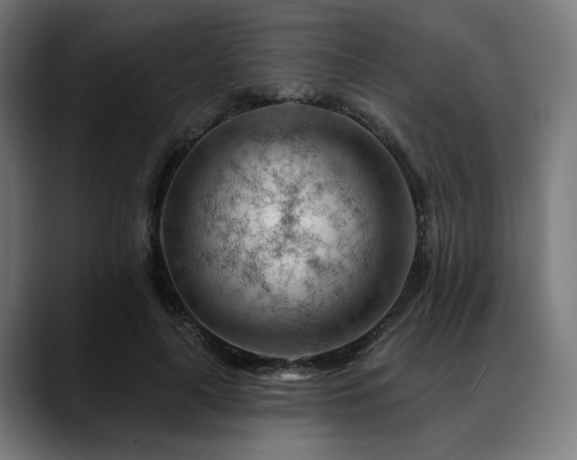 X0000088650643200705251502
