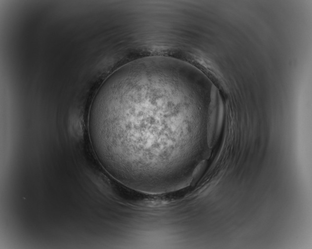 X0000088650644200705251502