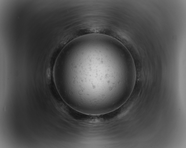 X0000088650646200705251502