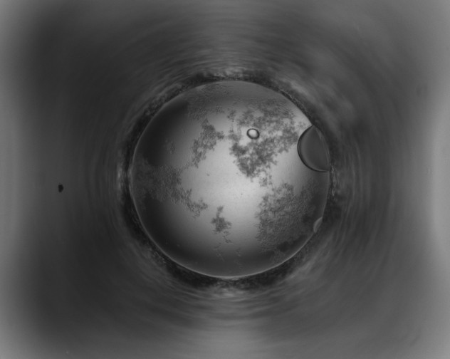 X0000088650648200705251502