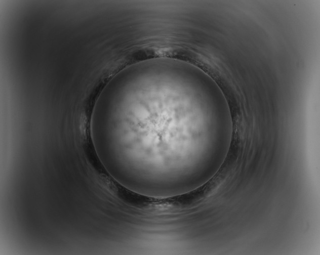 X0000088650650200705251502