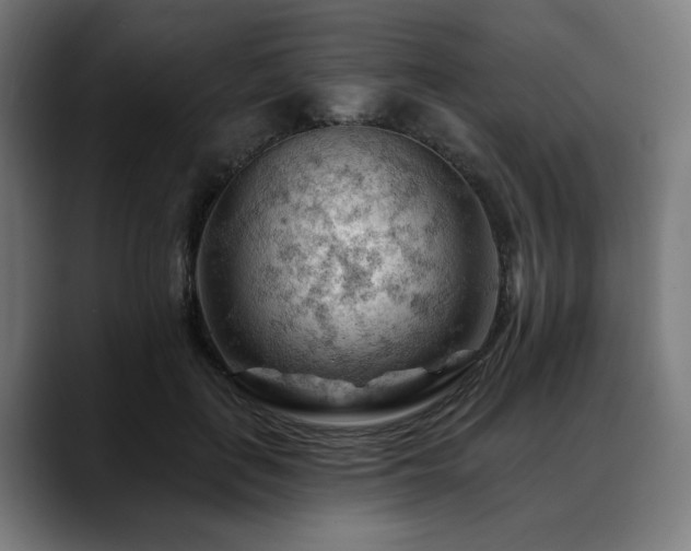 X0000088650651200705251502