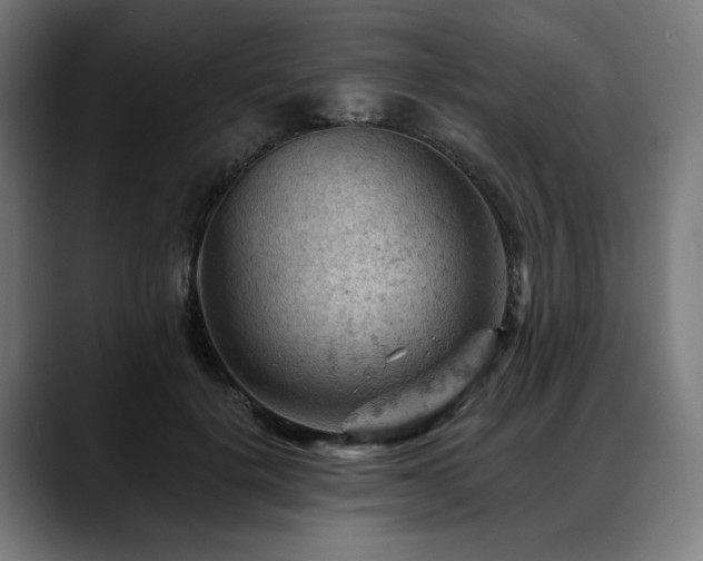 X0000088650652200705251502
