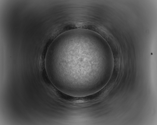 X0000088650653200705251502
