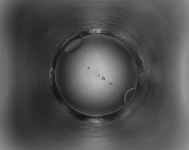 X0000088650654200705251502