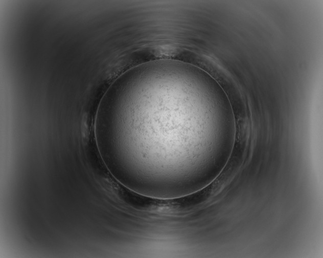 X0000088650655200705251502