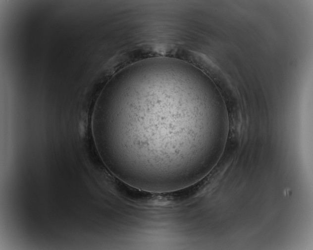 X0000088650656200705251502